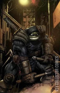 Teenage Mutant Ninja Turtles: The Last Ronin – The Lost Years #5 