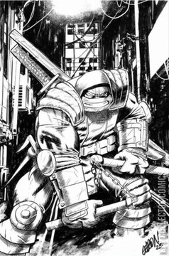 Variant Cover for Teenage Mutant Ninja Turtles: The Last Ronin – The Lost Years #5