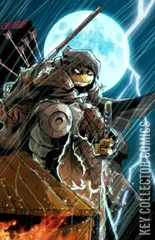 Variant Cover for Teenage Mutant Ninja Turtles: The Last Ronin – The Lost Years #5