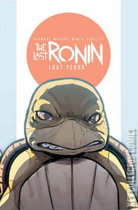 Teenage Mutant Ninja Turtles: The Last Ronin – The Lost Years #4 