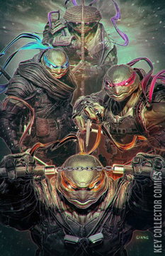 Variant Cover for Teenage Mutant Ninja Turtles: The Last Ronin – The Lost Years #3