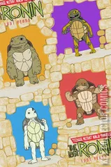Variant Cover for Teenage Mutant Ninja Turtles: The Last Ronin – The Lost Years #3