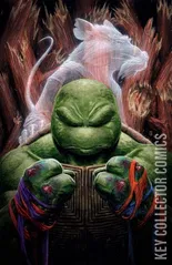Variant Cover for Teenage Mutant Ninja Turtles: The Last Ronin – The Lost Years #3