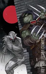 Variant Cover for Teenage Mutant Ninja Turtles: The Last Ronin – The Lost Years #3