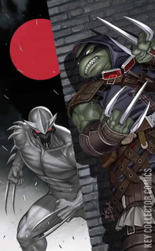Variant Cover for Teenage Mutant Ninja Turtles: The Last Ronin – The Lost Years #3