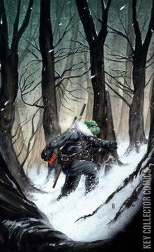 Variant Cover for Teenage Mutant Ninja Turtles: The Last Ronin – The Lost Years #2