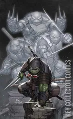 Variant Cover for Teenage Mutant Ninja Turtles: The Last Ronin – The Lost Years #2