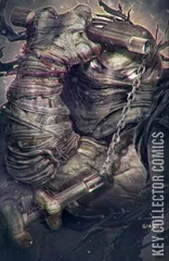 Variant Cover for Teenage Mutant Ninja Turtles: The Last Ronin – The Lost Years #2