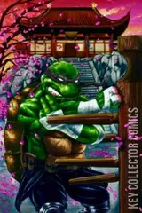 Cover for Teenage Mutant Ninja Turtles: The Last Ronin – The Lost Years #1