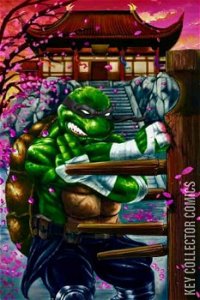 Teenage Mutant Ninja Turtles: The Last Ronin – The Lost Years #1 