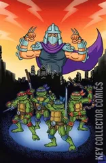 Cover for Teenage Mutant Ninja Turtles: Saturday Morning Adventures #11