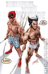 Variant Cover for Deadpool / Wolverine:  WW III #1