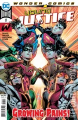 Cover for Young Justice #17