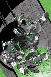 Teenage Mutant Ninja Turltes: Black, White & Green #1