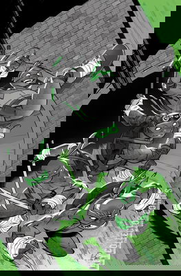 Teenage Mutant Ninja Turtles: Black, White & Green