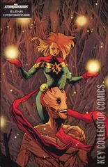Variant Cover for Captain Marvel #48