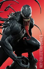 Variant Cover for Venom #25
