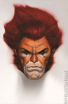 Variant Cover for Thundercats #4