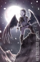 Variant Cover for Wynd: The Throne In The Sky #4