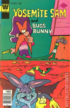 Variant Cover for Yosemite Sam #48