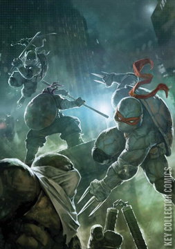 Variant Cover for Teenage Mutant Ninja Turtles: The Armageddon Game #5