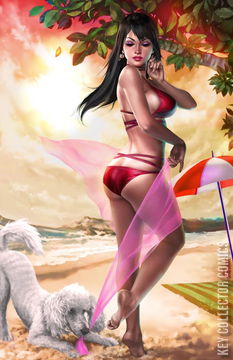 Variant Cover for Betty and Veronica Summer Spectacular