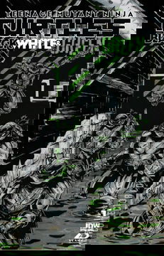 Variant Cover for Teenage Mutant Ninja Turtles: Black, White & Green #1