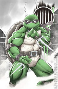 Teenage Mutant Ninja Turtles: Black, White & Green #1 