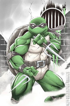 Variant Cover for Teenage Mutant Ninja Turtles: Black, White & Green #1