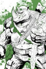 Variant Cover for Teenage Mutant Ninja Turtles: Black, White & Green #1