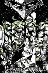 Variant Cover for Teenage Mutant Ninja Turtles: Black, White & Green #1