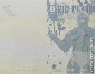Cover for Code Name Ric Flair: Magic Eightball #1