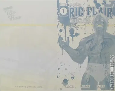 Code Name Ric Flair: Magic Eightball #1
