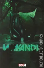 Variant Cover for Wakanda #1