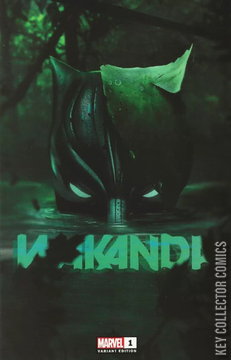Variant Cover for Wakanda #1