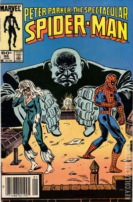 Peter Parker: The Spectacular Spider-Man