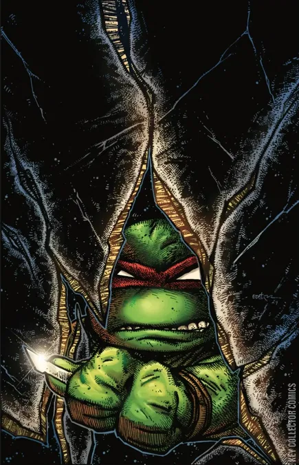 Cover art for Teenage Mutant Ninja Turtles #1 SDCC