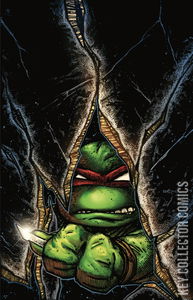 Teenage Mutant Ninja Turtles #1