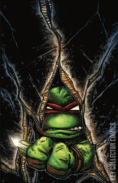 Variant Cover for Teenage Mutant Ninja Turtles #1