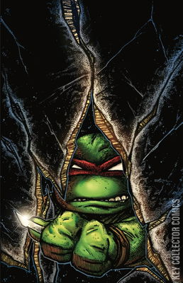 Teenage Mutant Ninja Turtles