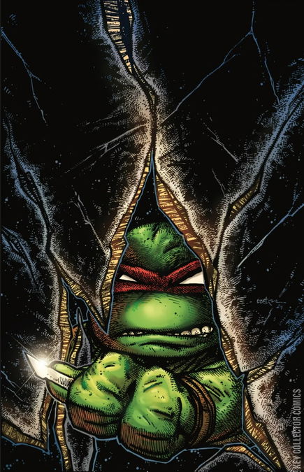Cover art for Teenage Mutant Ninja Turtles #1 