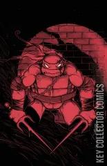 Variant Cover for Teenage Mutant Ninja Turtles #1