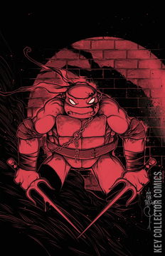 Variant Cover for Teenage Mutant Ninja Turtles #1