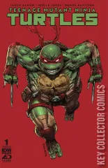 Variant Cover for Teenage Mutant Ninja Turtles #1