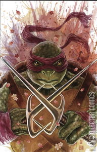 Teenage Mutant Ninja Turtles #1 