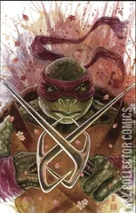 Variant Cover for Teenage Mutant Ninja Turtles #1