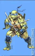 Variant Cover for Teenage Mutant Ninja Turtles #1