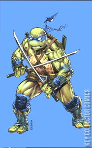 Teenage Mutant Ninja Turtles #1