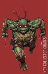 Variant Cover for Teenage Mutant Ninja Turtles #1