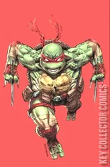 Variant Cover for Teenage Mutant Ninja Turtles #1